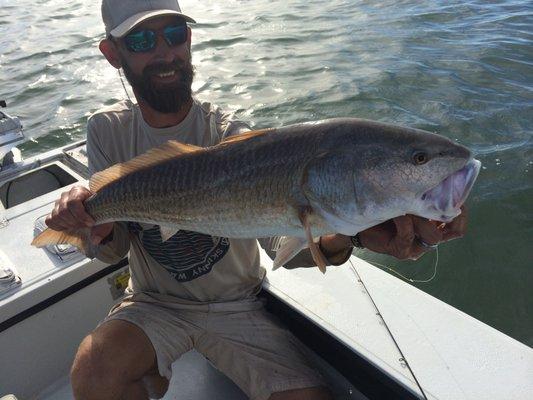 This redfish didn't notice that we had snuck up beside him until he ate "Uncle George's" perfectly placed shrimp.