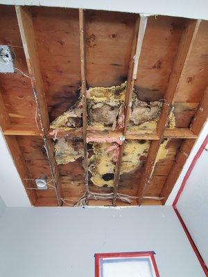 Mold Project. Extent of damage was unknown until we removed the drywall.