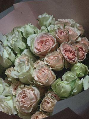 Pink and white roses