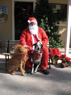 Santing with Christmas boarding dogs