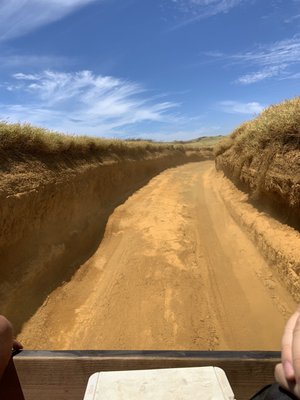 This is the path halfway to the beach. An obstacle course indeed