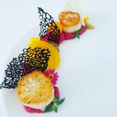 Sea scallops with beet hummus salad