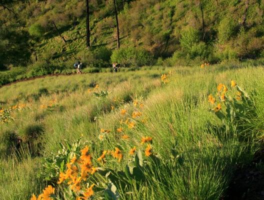 Hells Canyon National Recreation Area