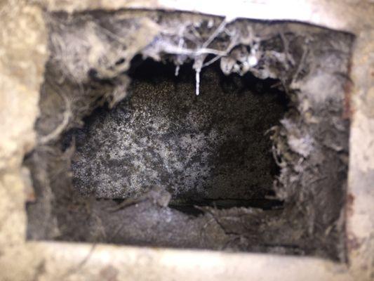 Mold in HVAC Ducts