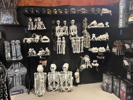 Human/animal skeleton decorations