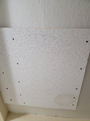 Poorly patched ceiling