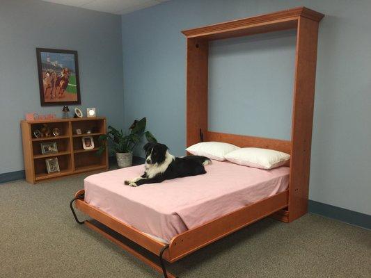 Murphy bed built using the Create-A-Bed Mechanism and instructions. Wood not included.