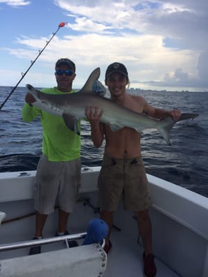 60 pound hammerhead trophy