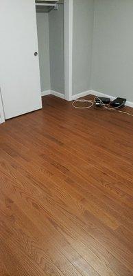 Solid Oak Hardwood floors