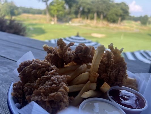 Chicken and fries but up close