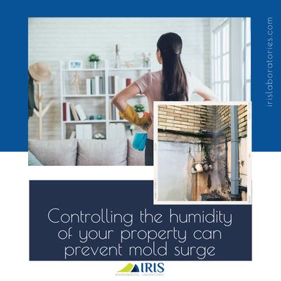 Keep humidity levels as low as you can--between 30% and 50%-all day long.