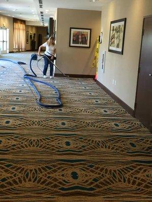 Rollins Carpet Cleaning Care & Carpet Repair