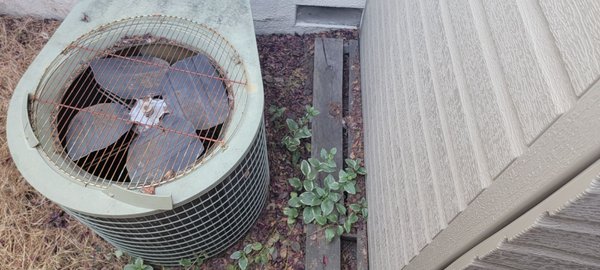 AC unit on the side of my house before "cleaning".