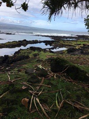 Beach View