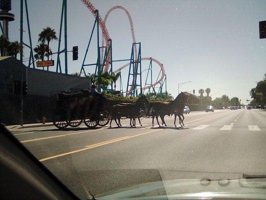 Located on the Back side of Knott's Berry Farm