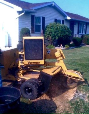 Stump grinding