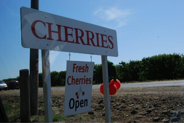 Stop in when you see the open sign. Season open the end of April to mid June.