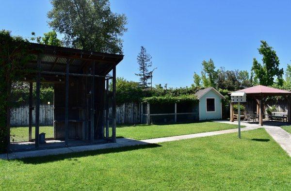 Bird Aviary and Chicken Coop