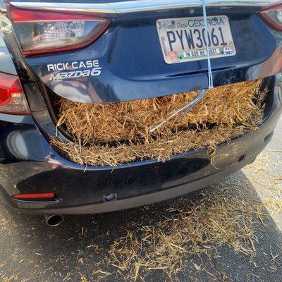 Chris in garden center with amazing he was a huge help to me and loading week straw in to my little mazda six thank you so much Chris.