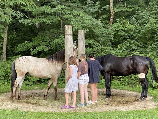 Horse camping with Cody and Ruger