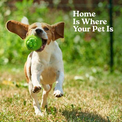 Your fur babies need a home too