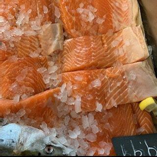 Fresh Salmon