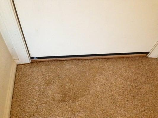 AM2PM Carpet Cleaning Restoration