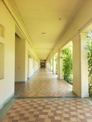 The hallway to the Registrar's office