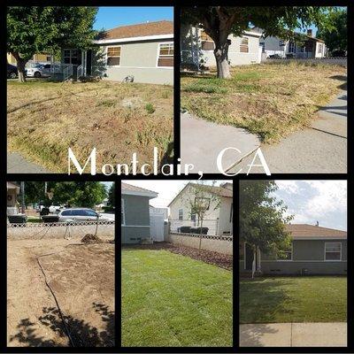 Sod installation