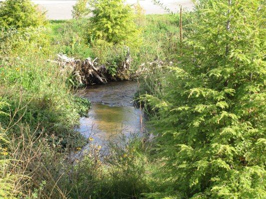 Kids Creek Tributary A Restoration - Munson TC Campus