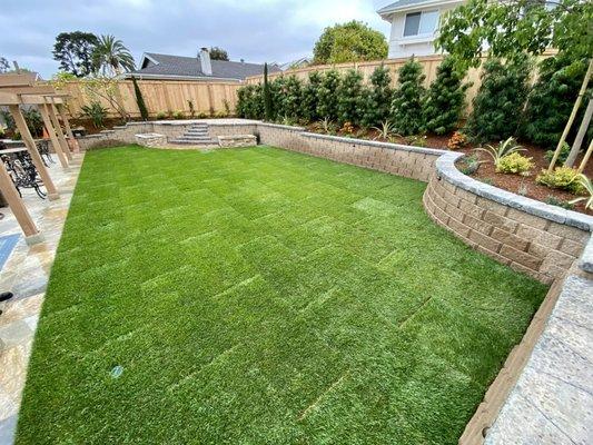 New Lawn, New Wall & Wood Fence.