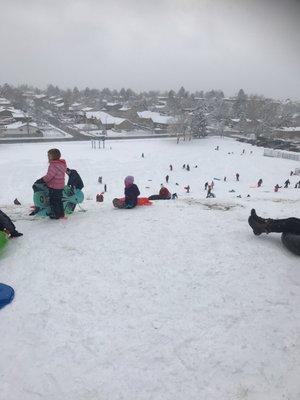 Sledding