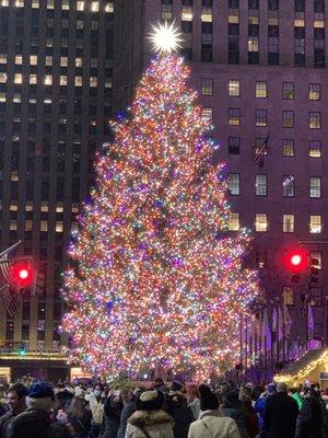 Rockefeller Christmas Tree