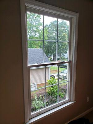 Replacing Vinyl Windows