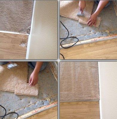 We love our pets but sometimes the damage our carpets... no problem we can repair it for you!!