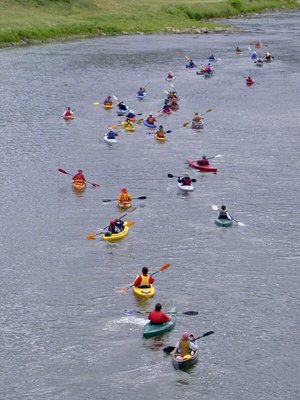 Friends of the Chemung River Watershed