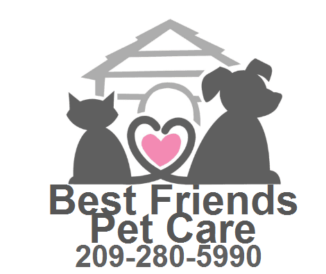 Best Friends Pet Care