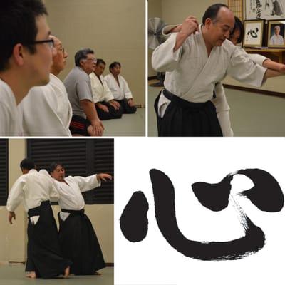 Aikido workshop