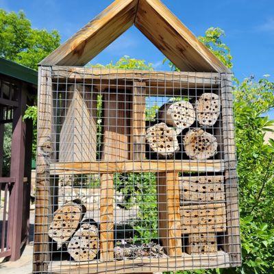 Insect house