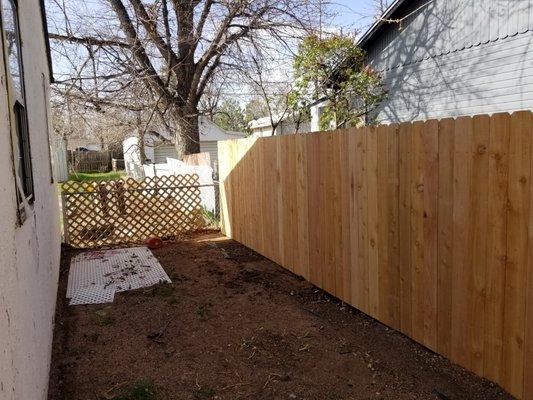 6' cedar fence