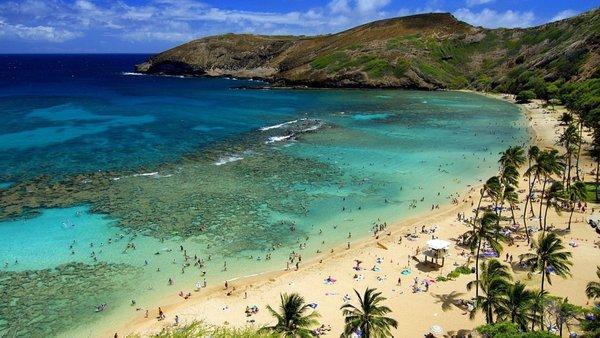 Hanauma Bay dazzles with its crystal-clear waters, vibrant marine life, and coral reefs, offering Oahu's snorkeling paradise.