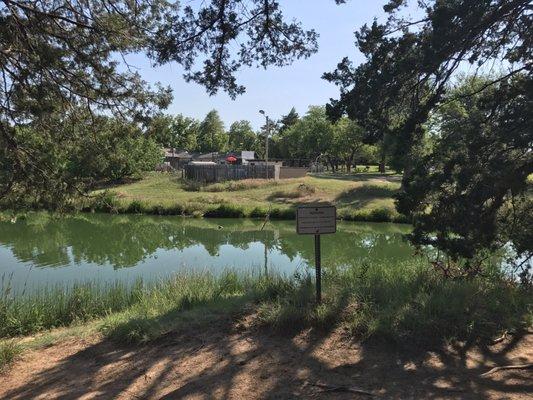 The lake and pool