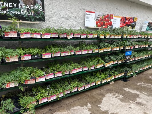 Herbs and veggies $4.97