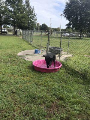 Wading pool near water bowls and faucets