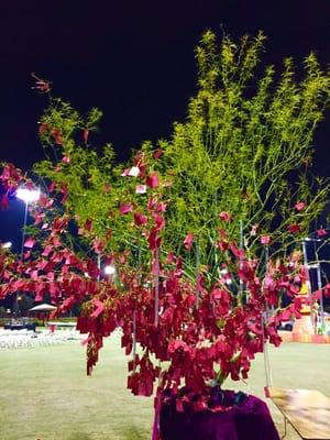 The Wishing Tree all decked out in wishes!