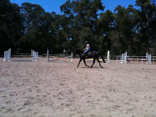 Amanda and Stetson my Quarter Horse.