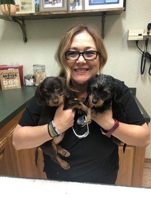 Puppy care with Dr. Smith