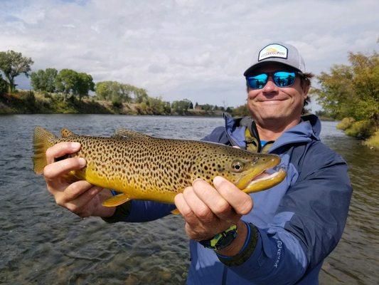 Madison River brown in September