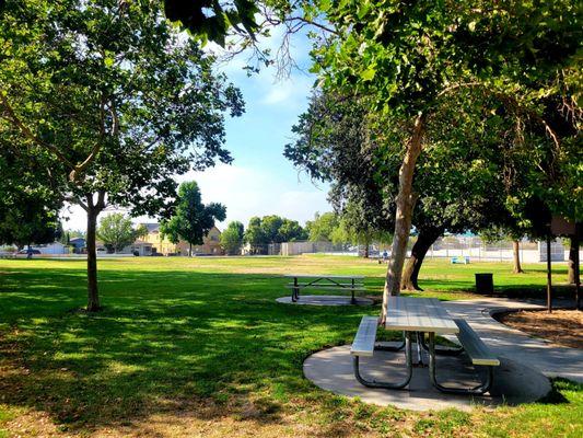 Plenty Of Trees (07/04/21). @JoaquinMillerPark #Burbank #Park #PetFriendly #FamilyFun #OptOutside