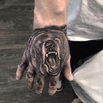 Bear portrait on a hand